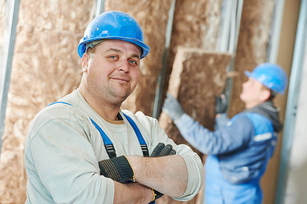 Best Insulation Maintenance and Repair in Council Bluffs, IA